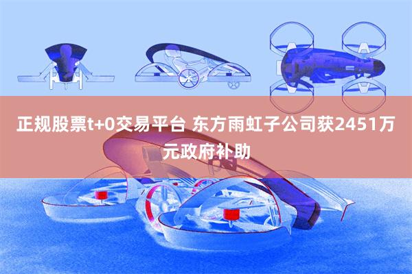 正规股票t+0交易平台 东方雨虹子公司获2451万元政府补助