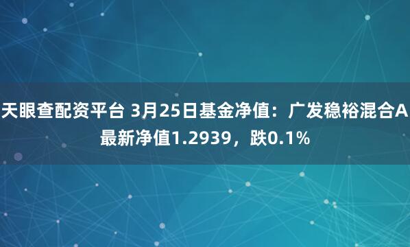 天眼查配资平台 3月25日基金净值：广发稳裕混合A最新净值1.2939，跌0.1%