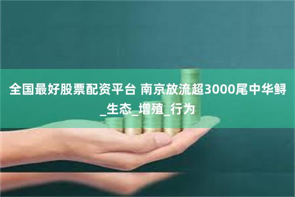 全国最好股票配资平台 南京放流超3000尾中华鲟_生态_增殖_行为