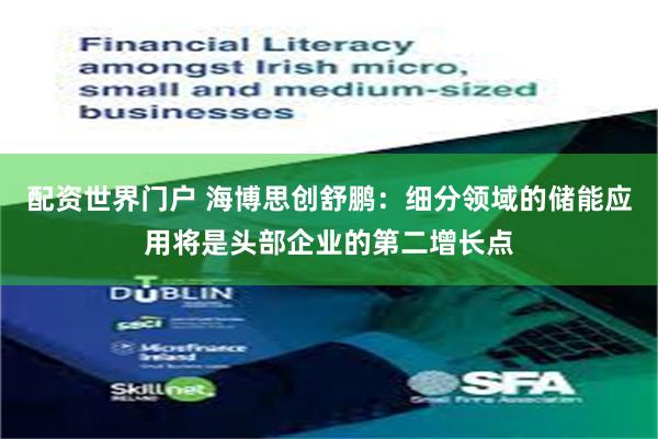 配资世界门户 海博思创舒鹏：细分领域的储能应用将是头部企业的第二增长点