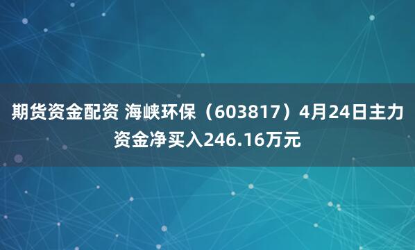 期货资金配资 海峡环保（603817）4月24日主力资金净买入246.16万元