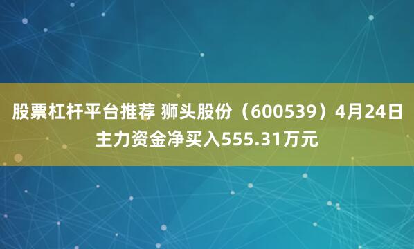 股票杠杆平台推荐 狮头股份（600539）4月24日主力资金净买入555.31万元