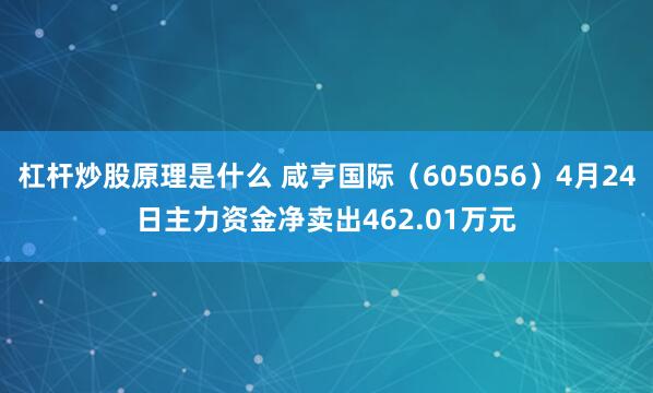 杠杆炒股原理是什么 咸亨国际（605056）4月24日主力资金净卖出462.01万元