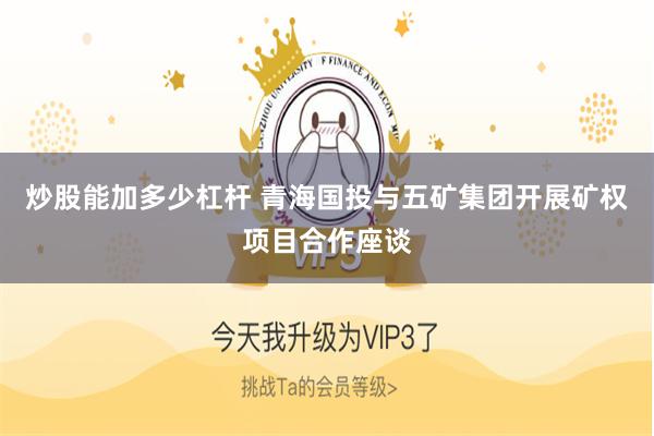 炒股能加多少杠杆 青海国投与五矿集团开展矿权项目合作座谈
