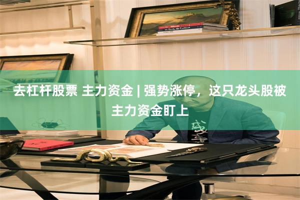去杠杆股票 主力资金 | 强势涨停，这只龙头股被主力资金盯上