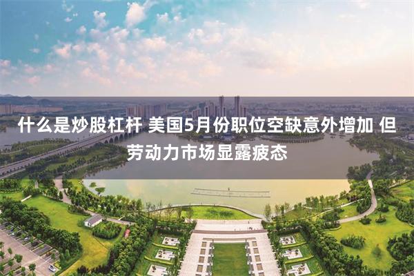 什么是炒股杠杆 美国5月份职位空缺意外增加 但劳动力市场显露疲态