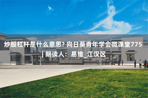 炒股杠杆是什么意思? 向日葵青年学会微课堂775 | 朗读人：易维_江汉区