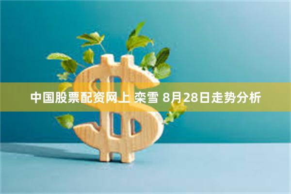 中国股票配资网上 栾雪 8月28日走势分析
