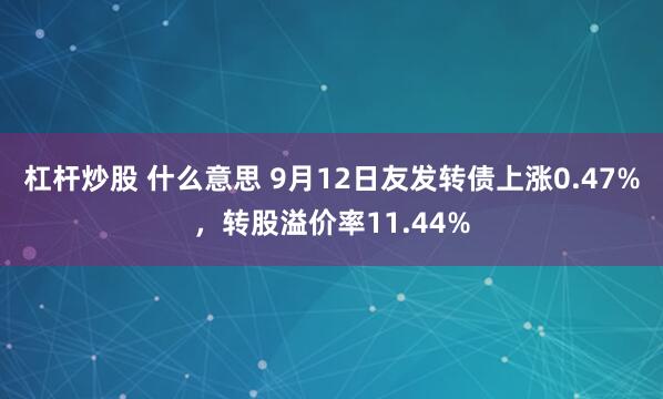 杠杆炒股 什么意思 9月12日友发转债上涨0.47%，转股溢价率11.44%