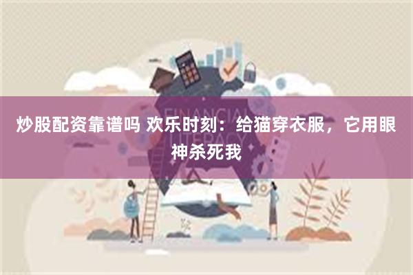 炒股配资靠谱吗 欢乐时刻:给猫穿衣服,它用眼神杀死我