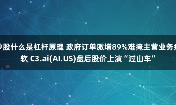 炒股什么是杠杆原理 政府订单激增89%难掩主营业务疲软 C3.ai(AI.US)盘后股价上演“过山车”