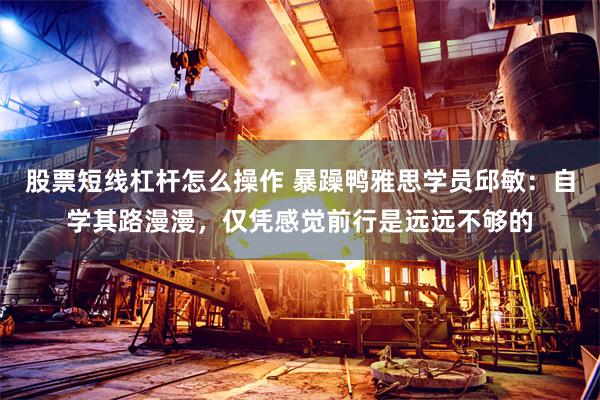 股票短线杠杆怎么操作 暴躁鸭雅思学员邱敏：自学其路漫漫，仅凭感觉前行是远远不够的