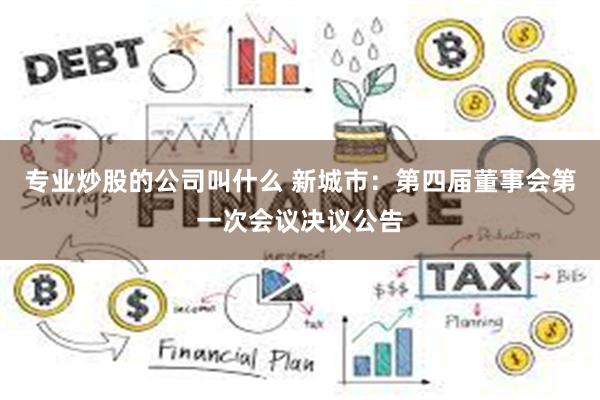专业炒股的公司叫什么 新城市：第四届董事会第一次会议决议公告